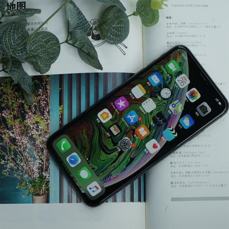 有著大屏幕還支持雙卡雙待，忠實果迷萬萬不能錯過