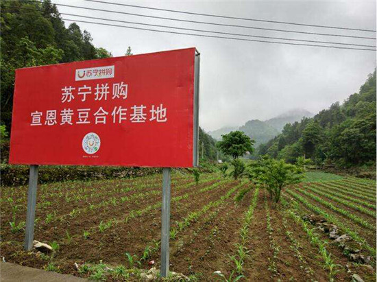 “拼基地”實(shí)現(xiàn)多方共贏，蘇寧“場景互聯(lián)網(wǎng)+智能供應(yīng)鏈”又添新范例