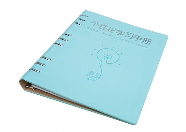 個性化學習手冊覆蓋千所學校 科大訊飛教育營收快速增長