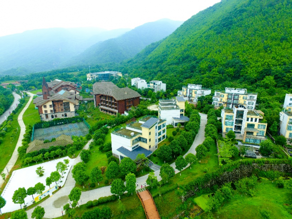劍南春被稱為大唐國酒，原來是因為《德宗本紀》……
