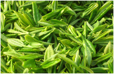 還在為冰箱串味異味煩惱？創(chuàng)維冰箱輕松解決！