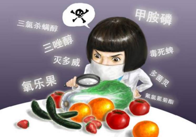 凈食機(jī)哪個牌子好，為什么凈食機(jī)已成為廚房必備？