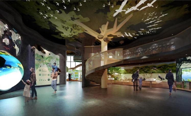 絲路視覺力作，深圳紅樹林生態(tài)科普展館正式對外開放