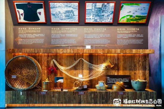 絲路視覺力作，深圳紅樹林生態(tài)科普展館正式對外開放