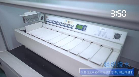 引爆冰箱行業(yè)的“微晶一周鮮”大揭秘！美的微晶冰箱如何做到“不凍原鮮，口感如初”？