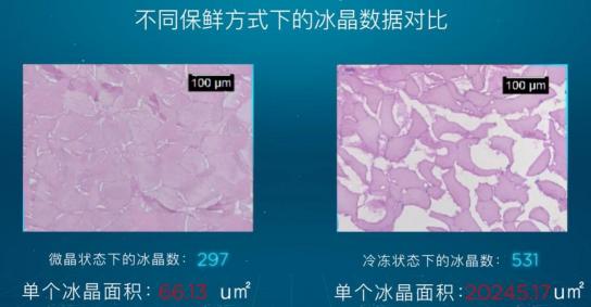 引爆冰箱行業(yè)的“微晶一周鮮”大揭秘！美的微晶冰箱如何做到“不凍原鮮，口感如初”？