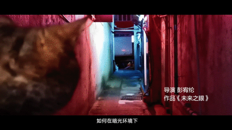你和專業(yè)攝影師之間，除了10000次快門還差了什么？