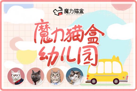 養(yǎng)貓新手“標(biāo)配”！魔力貓盒幼兒園幫你避開(kāi)養(yǎng)貓雷區(qū)