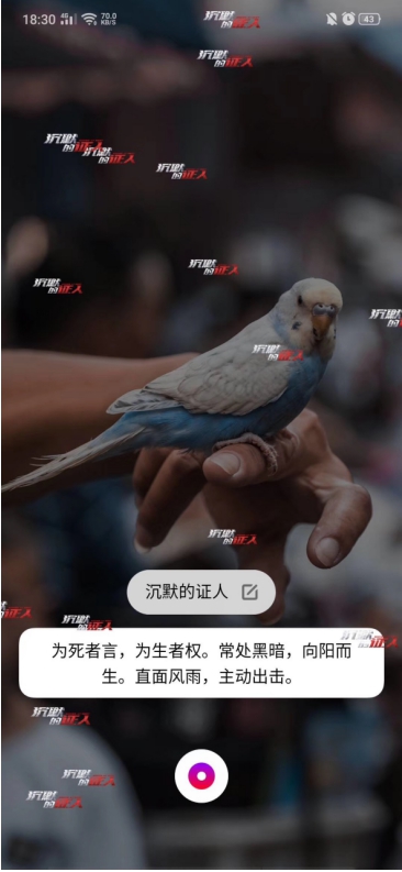 Breeno語音X電影《沉默的證人》，跨界合作帶來電影體驗升級，“沉默的證人”不再沉默