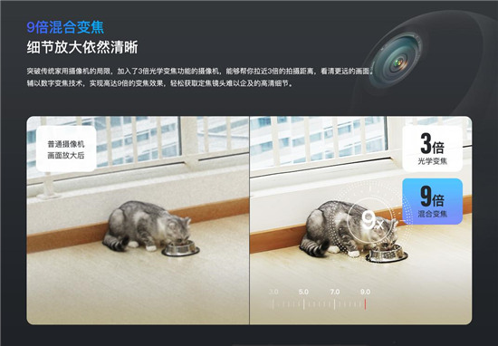 9 倍混合變焦、360°全景視野，守護愛寵它最行！