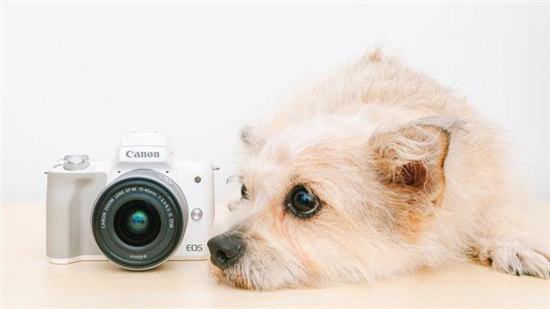 定格愛與正義！爆款微單EOS M50輕松拍攝萌寵寫真