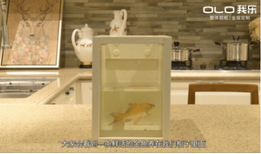 我樂櫥柜好不好？答案其實很明顯
