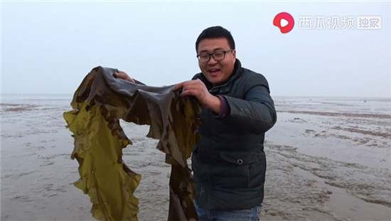 惹河豚生氣、遭八爪魚噴墨，趕海人在西瓜視頻上演現(xiàn)實(shí)版“老人與?！?/></p><p>在西瓜視頻上像川子這樣的創(chuàng)作者還有很多，他們從海邊，從灶臺(tái)前，從高樓大廈中走出來(lái)，走到這一方屏幕前，分享知識(shí)、分享技能、分享人生。西瓜視頻相關(guān)負(fù)責(zé)人表示，希望“人人都是生活的主角”不再只是一句口號(hào)，我們希望西瓜視頻能讓每一個(gè)心懷夢(mèng)想的普通人得以展現(xiàn)自己的才華，也讓大家看到更大更美好的世界。</p>              	<p style=
