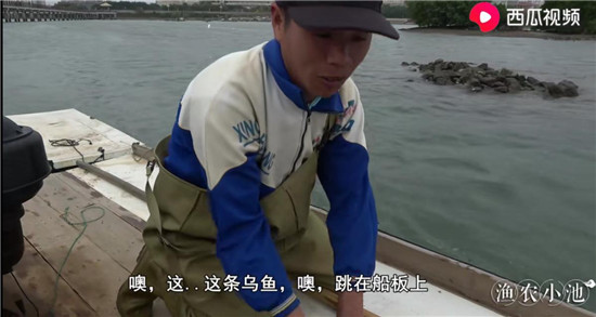 烏魚(yú)主動(dòng)上船、魚(yú)蝦講究體面，“姜太公”式打漁走紅西瓜視頻