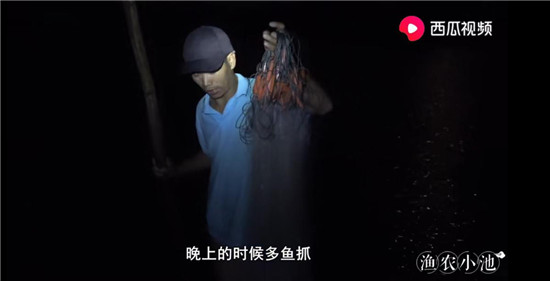 烏魚(yú)主動(dòng)上船、魚(yú)蝦講究體面，“姜太公”式打漁走紅西瓜視頻
