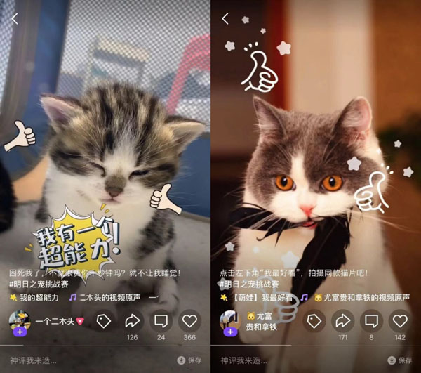 騰訊微視上線首屆萌寵大賽，多重福利帶動(dòng)用戶玩轉(zhuǎn)萌寵短視頻