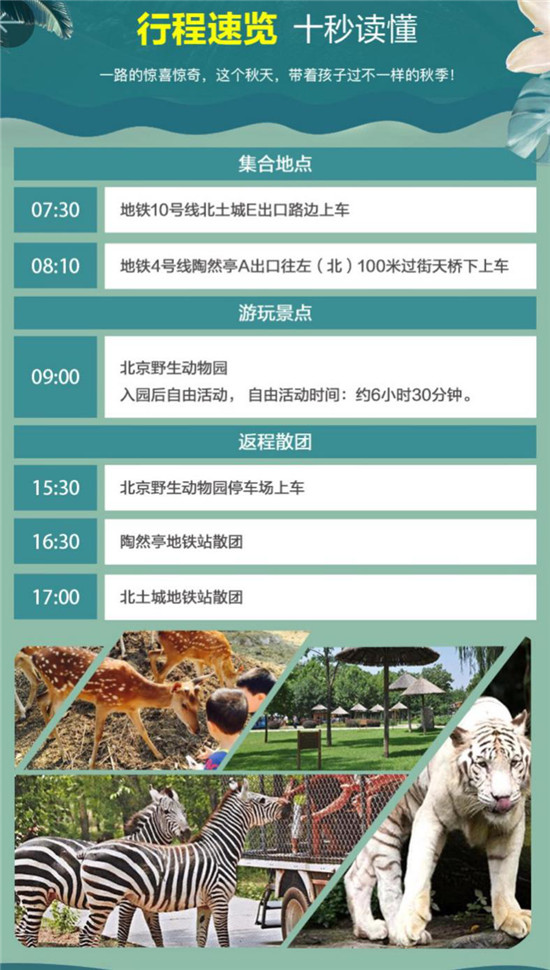 1小時舒適直達(dá)北京野生動物園 首汽約車巴士直通車來啦！