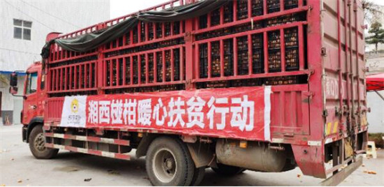 “95后”湘西少年返鄉(xiāng)助脫貧：搭上蘇寧拼購(gòu)快車，做甜美事業(yè)