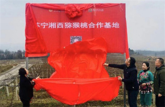 “95后”湘西少年返鄉(xiāng)助脫貧：搭上蘇寧拼購(gòu)快車，做甜美事業(yè)