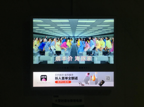 又是一波神廣告，海豚家的雙11節(jié)前營銷有點(diǎn)亮！