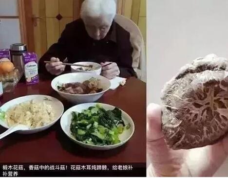 你養(yǎng)我長(zhǎng)大，我陪你變老