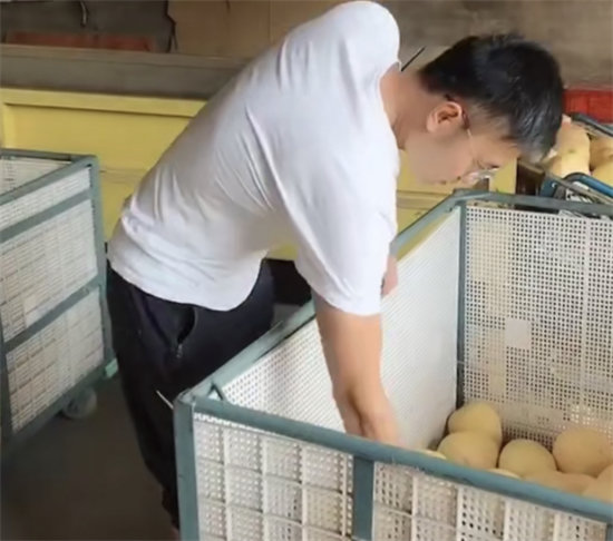 蘇寧拼購護(hù)航琯溪蜜柚上行：不止拼價(jià)格，更要拼品質(zhì)！