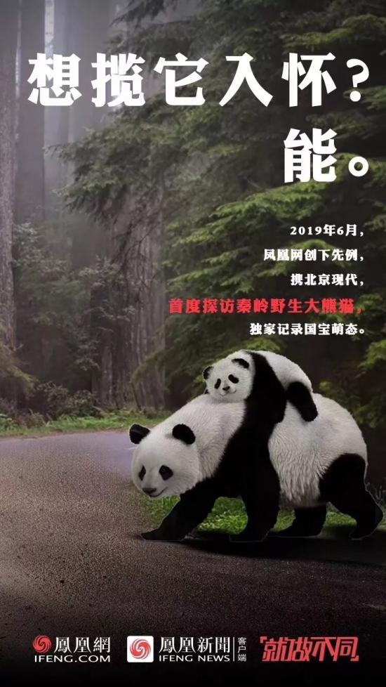 “就做不同”的背后，看鳳凰網(wǎng)的營銷進(jìn)階之路