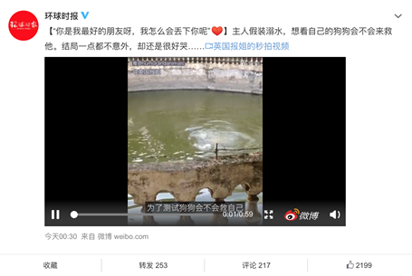 鏟屎官們注意了，萌寵又到了換毛季，家人的健康要時刻關注