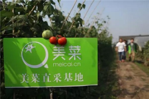 美菜與開元酒店集團(tuán)達(dá)成戰(zhàn)略合作，打造采購新模式為行業(yè)賦能