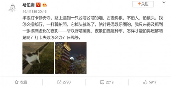 必看！教你旅游時讓鋼鐵直男從死亡視角逆襲成攝影黑馬！