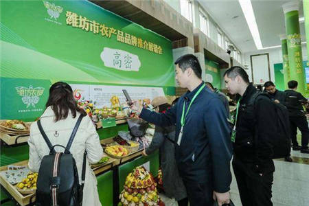 濰坊市農產品品牌推介展銷會亮點紛呈，濰坊農品走向全國市場