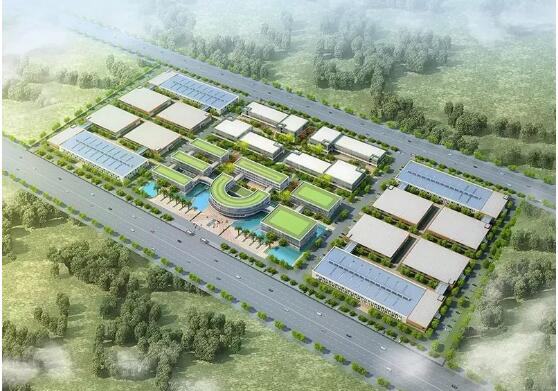 政企合力助推健康中國，金天國際生態(tài)果素項(xiàng)目建設(shè)提速