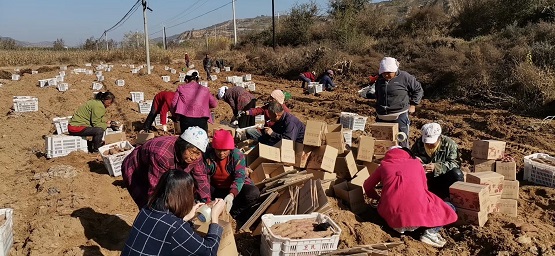 僅用一個小程序，傳統(tǒng)國貨品牌七匹狼挺進(jìn)下沉市場實現(xiàn)新增客流90萬