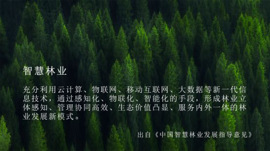 云途騰打造林業(yè)云標桿，加速智慧林業(yè)進程
