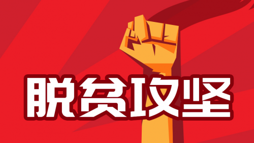 積極發(fā)揮行業(yè)優(yōu)勢，斗米“互聯(lián)網(wǎng)+”模式助力精準脫貧攻堅