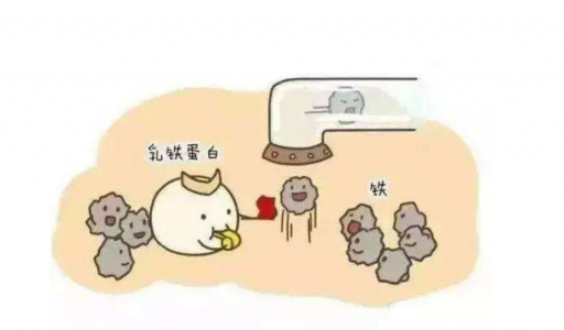 DR.HS澳洲赫醫(yī)生乳鐵蛋白：以匠心成就品質(zhì)，以有機(jī)助力成長