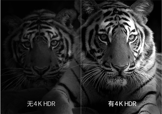 雙十二夏普電視優(yōu)惠又來襲 這次還不買就真的錯(cuò)過一年
