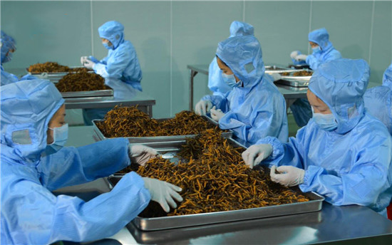 購(gòu)物狂歡節(jié)賣(mài)到斷貨,寶瓶堂創(chuàng)始人第五次入藏產(chǎn)地直采