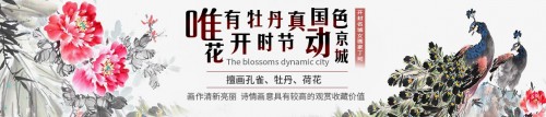 家里掛花鳥畫好嗎？丁珂手繪牡丹國畫，掛在家里好看又吉祥