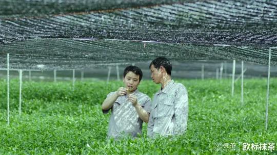 2019貴茶歐標抹茶宣傳片：匠心之作一切圍繞“原”做文章