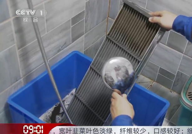 解秘！遠大登陸央視1套 竟是因為這些原因