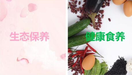 金天國(guó)際加快產(chǎn)業(yè)融合，打造全生命生態(tài)養(yǎng)護(hù)系統(tǒng)