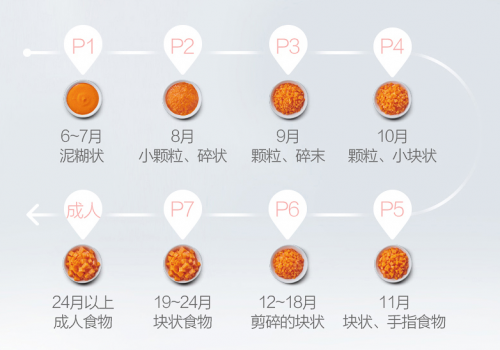 輔食機哪個牌子好？應(yīng)根據(jù)什么標準選購輔食機？