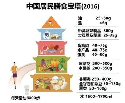 【蒙牛營(yíng)養(yǎng)研究院 】合理膳食，活性酸奶好處多