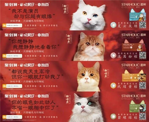 杭州碧橙三度蟬聯(lián)天貓六星，四招助力品牌數(shù)字化升級