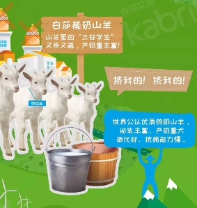 免疫力差的寶寶吃羊奶粉好嗎?羊奶粉值得選擇嗎？