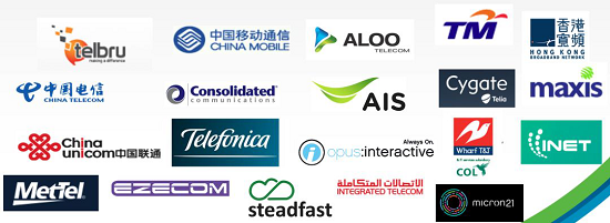 閃亮RSA，綠盟Cloud DPS打開云端DDoS防護正確方式