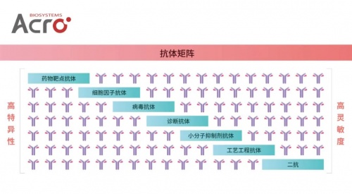 ACROBiosystems百普賽斯抗體矩陣再添新IFN-γ，助力加速生物藥研發(fā)上市進(jìn)程