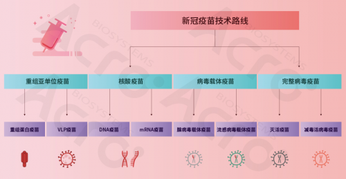 ACROBiosystems百普賽斯攜整體解決方案出席創(chuàng)新峰會，助力加速疫苗研發(fā)上市進程