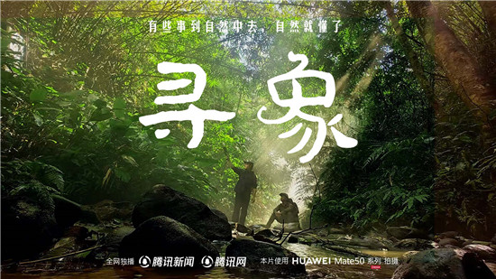 去雨林深處，聽大象長吟，自然紀(jì)錄片《尋象》正式上線！